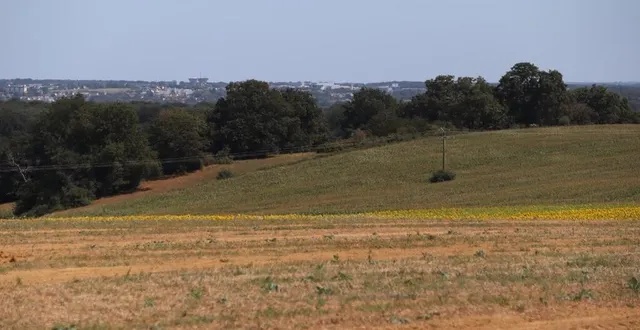 photo  depuis le point culminant du pays sabolien situé à souvigné-sur-sarthe, on dispose d’une belle vue sur la vallée de la sarthe.  &copy;  ouest-france 