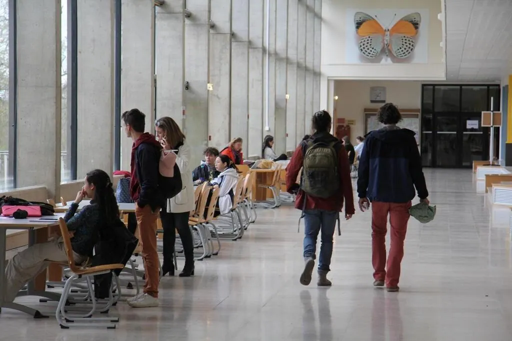 L’université de Rennes parmi les 500 meilleures facultés du monde pour ...