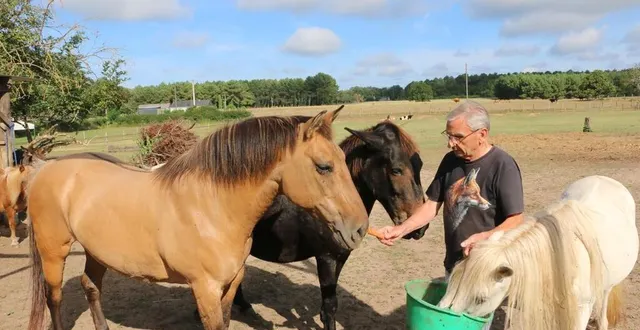 photo  zarra (à gauche) a été recueillie aux crins verts après avoir été laissée à l’abandon dans un pré.  &copy;  ouest-france 