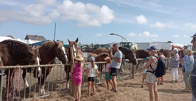 photo  dimanche 18 août, mamers organisera un comice agricole.  &copy;  ouest-france 
