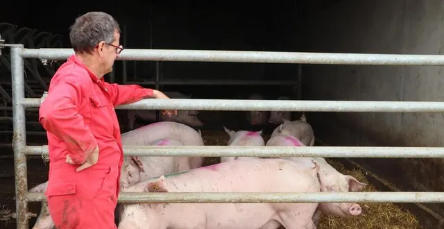 photo  benoît ragaigne, éleveur de porcs fermiers, dans son exploitation à auvers-le-hamon, le 18 février 2024.  &copy;  ouest-france 