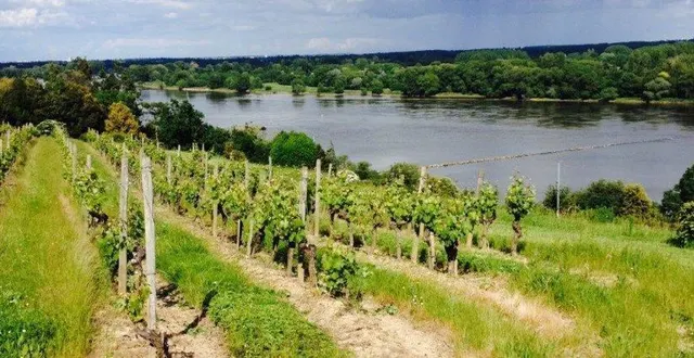 photo  la croix-picot, à bouchemaine, est dans l’appellation savennières et offre de beaux paysages sur la loire.  &copy;  co 