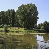 photo l’île du barrage est un petit havre de verdure caché dans une zone industrielle.