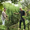 photo  isabelle et marc leroy proposent des ateliers « plantes sauvages » aux résidents de leurs chambres d’hôtes. 