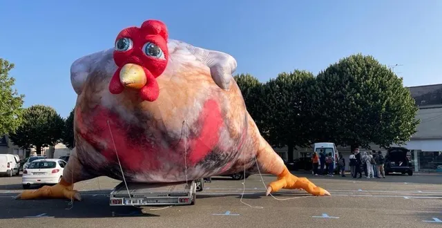 photo  un poulet géant a été installé place de la république à sablé, ce jeudi.  &copy;  le maine libre 