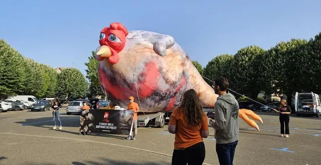 photo  les militants de l’association l214 sur la place de la république à sablé-sur-sarthe jeudi 22 août au matin.  &copy;  ouest-france 