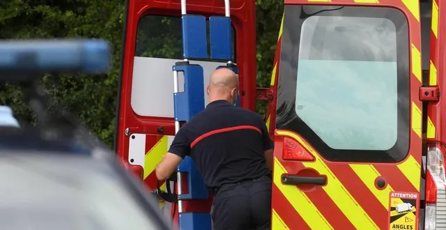 photo  les sapeurs-pompiers ont engagé leur service vétérinaire après l’accident d’un camion transportant 150 cochons, à conlie.  &copy;  archives le courrier de l’ouest 