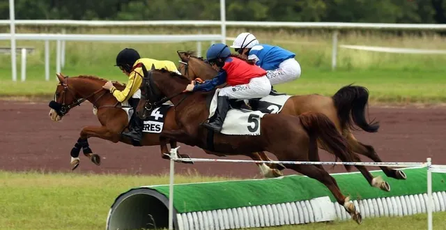 photo  les courses de poneys ont lieu dimanche 25 août de 11 h à 16 h.  &copy;  cécile madamet 