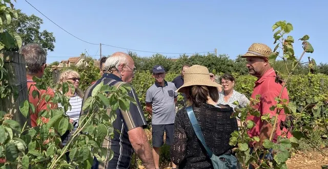 photo  plus de trente visiteurs ont suivi philippe rossignol dans ses vignes.  &copy;  le maine libre 
