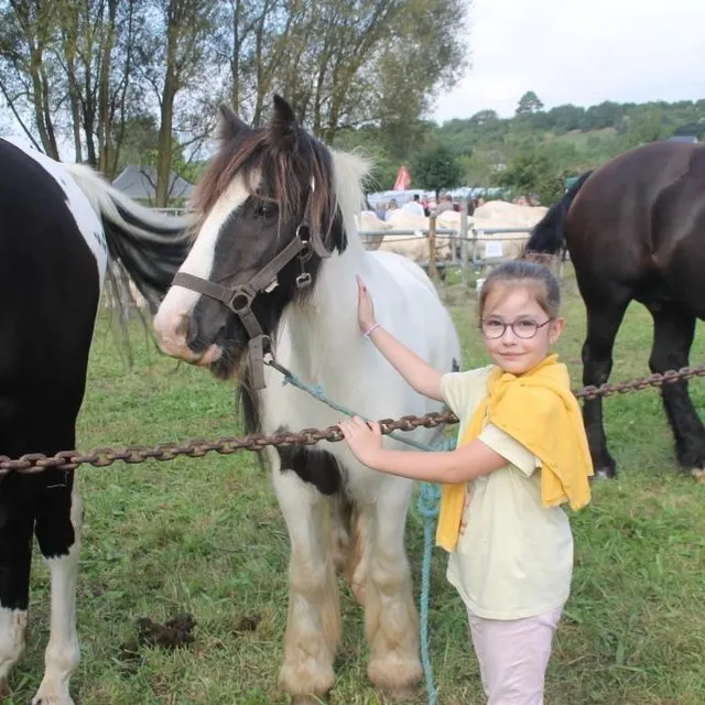 Laura : «Je suis contente de caresser ce gentil poney». Le Maine Libre photo laura : «je suis contente de caresser ce gentil poney». © le maine libre