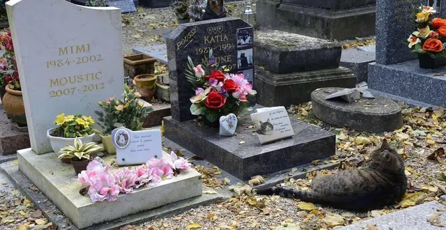 photo  plusieurs cimetières animaliers offrent une dernière demeure aux animaux de compagnie. ici, le cimetière des chiens à asnières-sur-seine, considéré comme le plus ancien cimetière d’animaux au monde.  &copy;  afp/bertrand guay 
