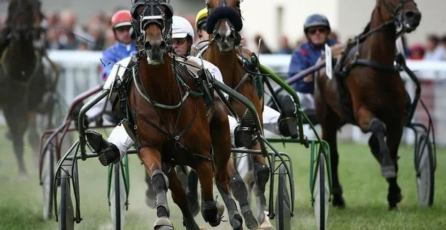 photo  huit courses de trot sont au programme de cette deuxième réunion de vibraye, dimanche 25 août, dont sept attelées.  &copy;  archives le maine libre – denis lambert 