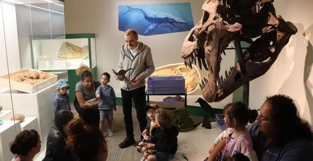 photo  l’entrée au musée vert du mans est gratuite depuis deux ans, une politique qui a boosté sa fréquentation.  &copy;  ouest-france 