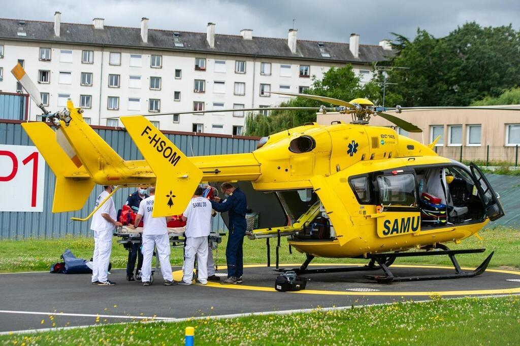 Dans Lain Un Nourrisson De Cinq Jours Décède Après Avoir été Mordu