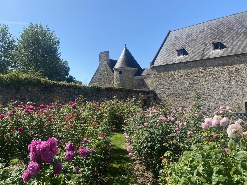 REPORTAGE. La « fabuleuse découverte, faite par hasard » du château de ...