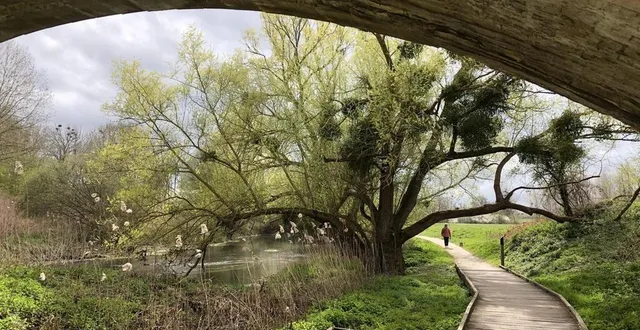 photo  la fosse corbette (un pont de chemin de fer au-dessus de l’orne) se situe près du clos menou.  &copy;  maurane speroni 