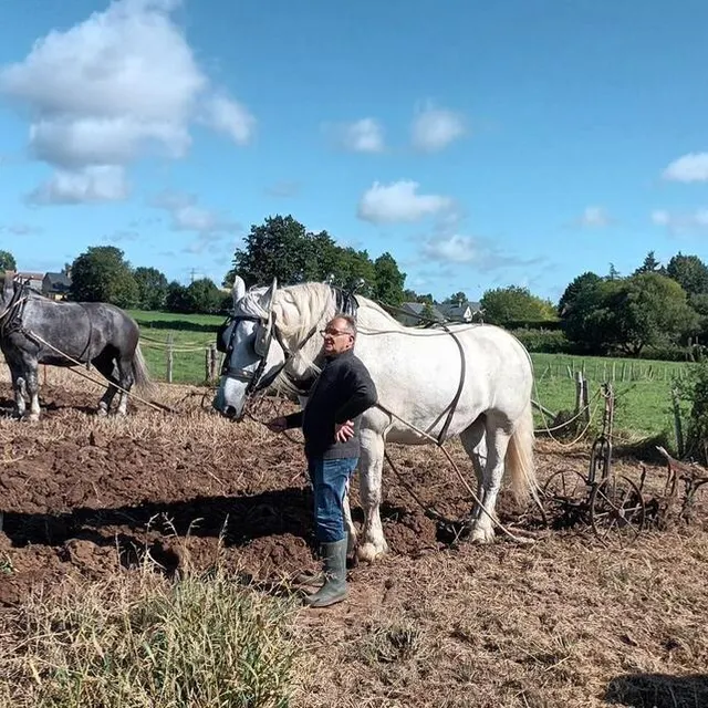 photo huit tracteurs et deux percherons ont participé au concours de labour, dimanche matin.  ©  ouest-france