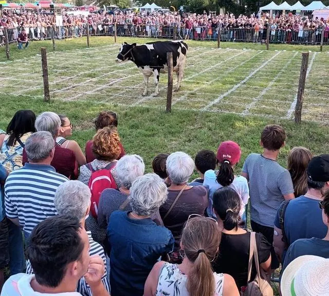 photo les possesseurs des tickets se sont agglutinés autour du terrain pour voir raclette, la vache, déposer sa bouse sur une case dans un meuglement de satisfaction.  ©  ouest-france