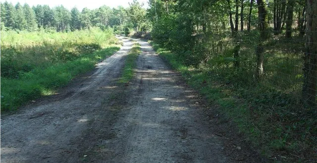 photo  la randonnée permet de partir à la découverte des sentiers régionaux.  &copy;  ouest-france 