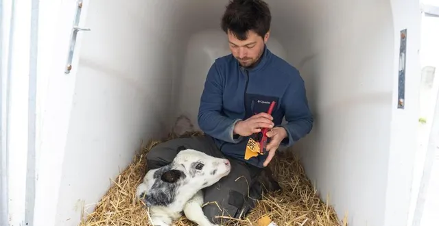 photo  florian dereix, de la première promo d’alterfixe, s’est déjà installé à la fresnaye-au-sauvage, en exploitation laitière.  &copy;  mathieu pattier / ouest france 