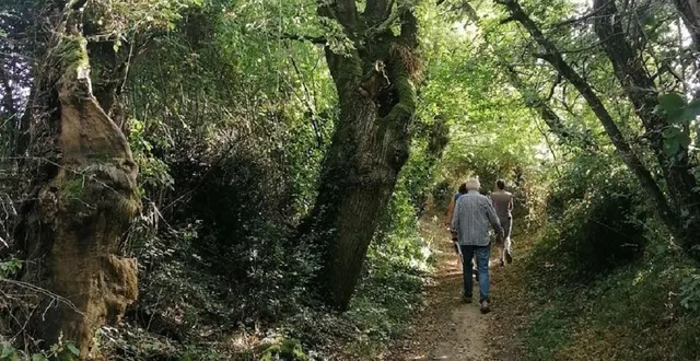 photo  lors de cette visite, les participants pourront découvrir chemins et paysages du bocage.  &copy;  archives co 