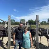 photo mickaël et bénédicte devant leur élevage d’autruches.