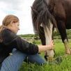 photo alexia avec jacadi, son irish cob de cinq ans.