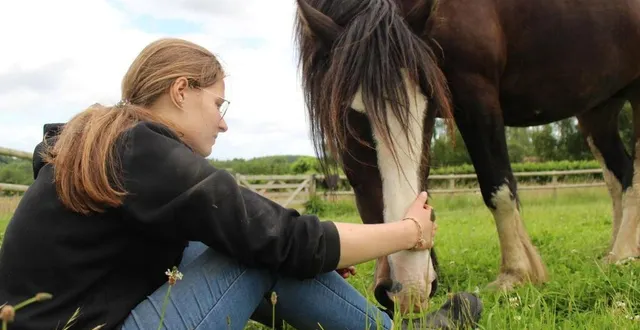 photo  alexia avec jacadi, son irish cob de cinq ans.  &copy;  ouest-france 