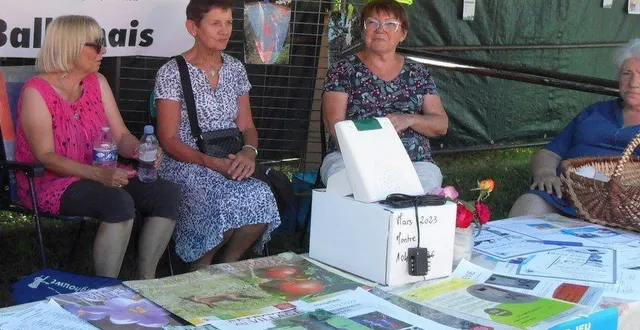 photo  le 3e festival des associations, un rendez-vous familial et intergénérationnel.  &copy;  archives le maine libre. 