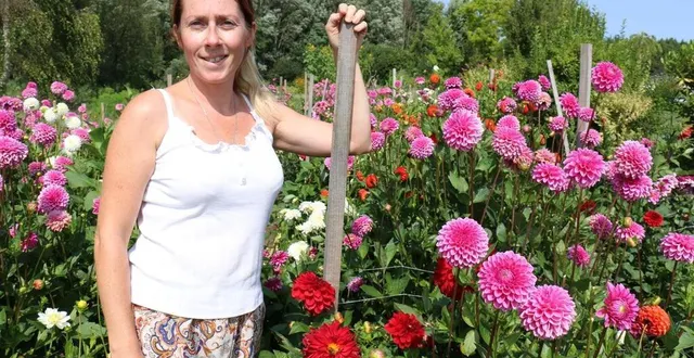 photo  émilie devalance cultive ses fleurs sur une ancienne terre agricole.  &copy;  ouest-france 