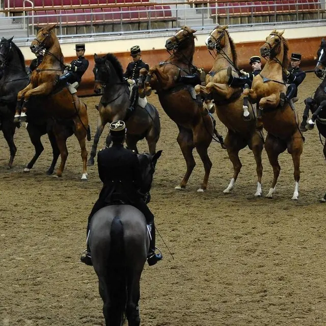 Répétition générale au cadre noir de Saumur archives photo répétition générale au cadre noir de saumur © archives