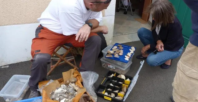 photo  jean sicart, vice-président de la fondation jean jousse, raconte les pierres au public.  &copy;  ouest-france 