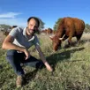 photo sébastien champion dans une partie pâturée de ses champs, à l’herbe rase. derrière lui, le troupeau de vaches salers vient d’investir un nouveau carré d’herbes hautes, pour 24 heures.
