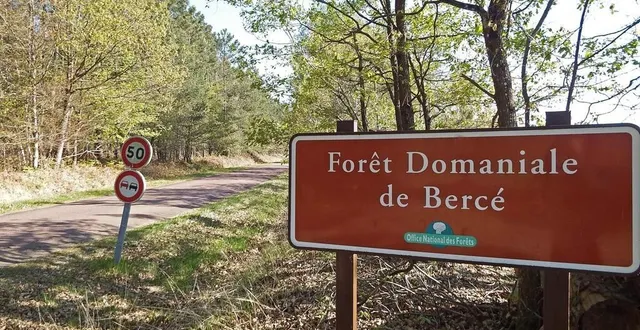 photo  l’onf assure avoir pris sa décision pour des raisons de sécurité après avoir consulté les collectivités locales concernées.  &copy;  le maine libre 