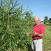 photo alain vardon auprès de l’un de ses arbres. « il s’agit d’une variété de mélèze européen croisé avec un mélèze japonais. il résiste au froid à - 40 °c et vit habituellement dans les alpes. c’est après en avoir vu plantés à vassy, que nous avons pris la décision d’en planter ici. »