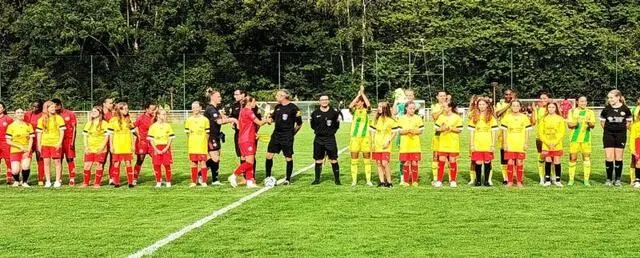 photo  les filles du fcssm ont accompagné les joueuses avant le match  &copy;  le maine libre 