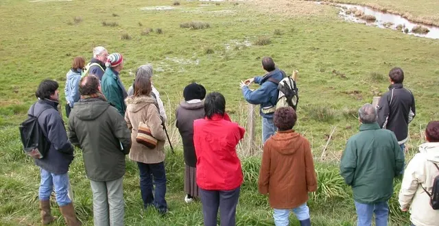 photo  l’une des actions relevées par le comité scientifique et technique est la gestion partenariale de la réserve naturelle régionale des marais de cré – la flèche.  &copy;  archives le maine libre 
