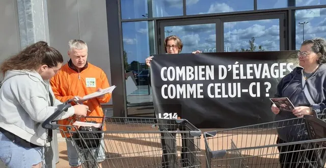 photo  l’action nationale a été suivie par une quarantaine d’antennes,dont l’antenne sarthoise.  &copy;  ouest-france 