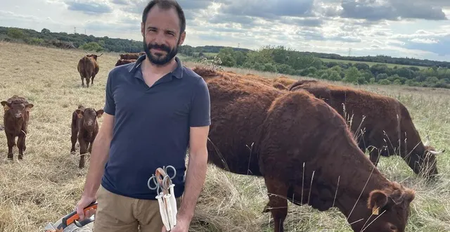 photo  à gauche de sébastien champion, la parcelle où les bovins ont brouté. à droite, celle qu’ils viennent d’investir : ils sont habitués à le suivre dès qu’il saisit son enrouleur.  &copy;  le maine libre 