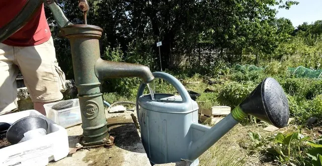 photo  l’arrosage est encore interdit en journée dans le bassin de l’argance.  &copy;  archives le courrier de l’ouest 