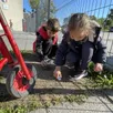 photo les élèves de l’école des trois rives aiment beaucoup ce petit carré de terre, où un arbre aurait dû pousser.