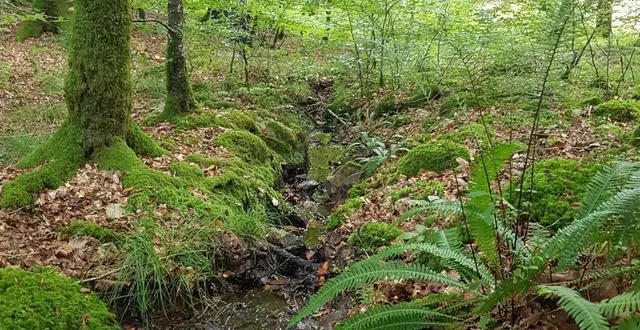 photo  la communauté de communes des sources de l’orne est en train d’établir son atlas de la biodiversité.  &copy;  ouest-france 