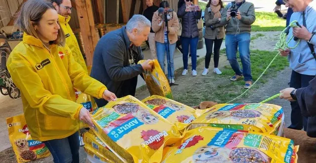 photo  la présidente de la lda, maryelle béasse, a réceptionné, mardi 17 septembre 2024, les cinq palettes de croquettes pour chiens offertes par la fondation 30 millions d’amis, en partenariat avec pedigree.  &copy;  ouest-france 