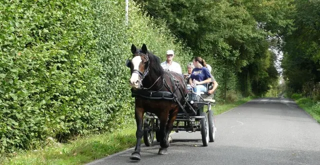 photo  les transports d’antan seront à l’honneur dimanche. ici régis, avec son cheval sur la route de nocé.  &copy;  ouest-france 