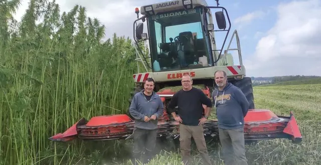 photo  vincent, rodolphe, le chauffeur et benoît, le président de la cuma, lors de la coupe du chanvre.  &copy;  le maine libre 
