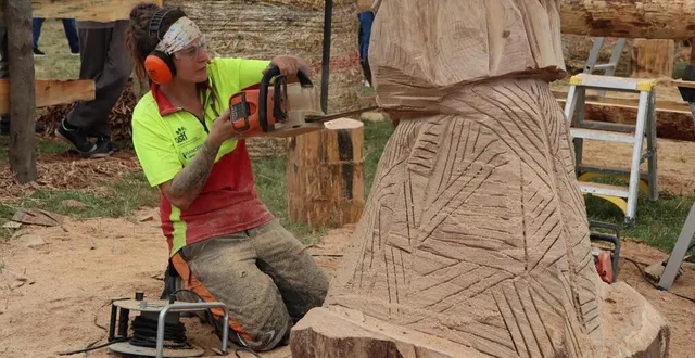 photo  anouk sakura était la seule femme parmi les 12 participants à cette édition 2024 du championnat de france de sculptures à la tronçonneuse.  &copy;  ouest-france 
