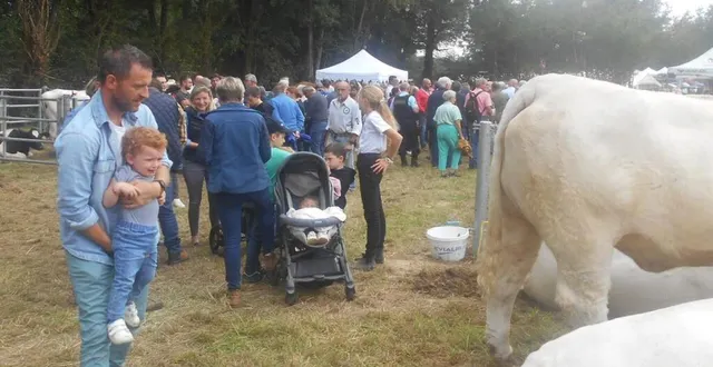 photo  les visiteurs sont nombreux à avoir fait le déplacement.  &copy;  ouest-france 