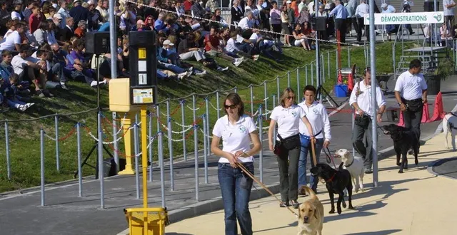 photo  démonstrations dans l’enceinte de l’école des chiens guides.  &copy;  archives co 