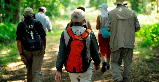 photo  deux marches bleues sont organisées, à laigné-en-belin et arnage, les 1er et 2 octobre 2024 (photo d’illustration)  &copy;  archives ouest-france 