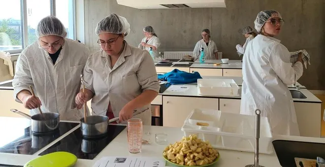 photo  préparation de la compote et du cake dans la cuisine pédagogique par les classes de capa 2 vente pour clore deux journées autour de la santé et du bien-être.  &copy;  le maine libre 
